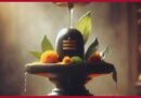 महाशिवरात्रि 2026: वर्षों बाद कई शुभ योगों का संगम, चार प्रहर में शिव पूजन का विशेष महत्व