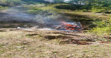 उत्तरकाशी पीजी कॉलेज में छात्राओं ने सीखी स्टोन पेंटिंग की कला