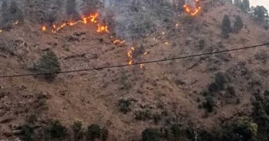 उत्तराखंड में बढ़ी वनाग्नि की चुनौती, 27 दिनों में 73 घटनाएं