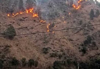 उत्तराखंड में बढ़ी वनाग्नि की चुनौती, 27 दिनों में 73 घटनाएं