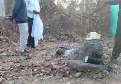 कोरबा में जंगली हाथी का हमला, मंडी प्रभारी की कुचलकर मौत