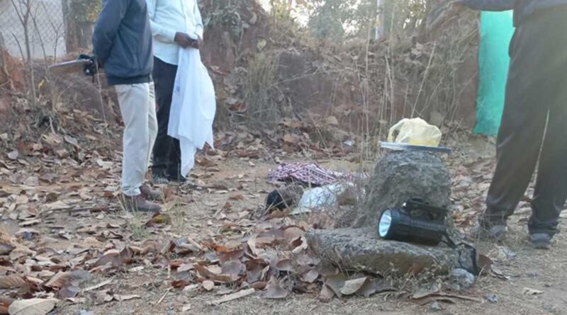 कोरबा में जंगली हाथी का हमला, मंडी प्रभारी की कुचलकर मौत