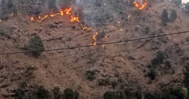 चमोली के जंगलों में भड़की आग, कई क्षेत्रों में धधकते रहे वन