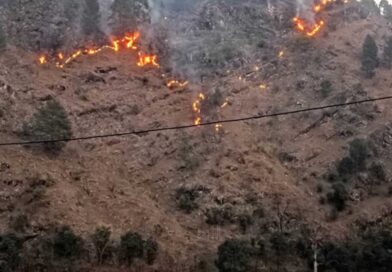 चमोली के जंगलों में भड़की आग, कई क्षेत्रों में धधकते रहे वन