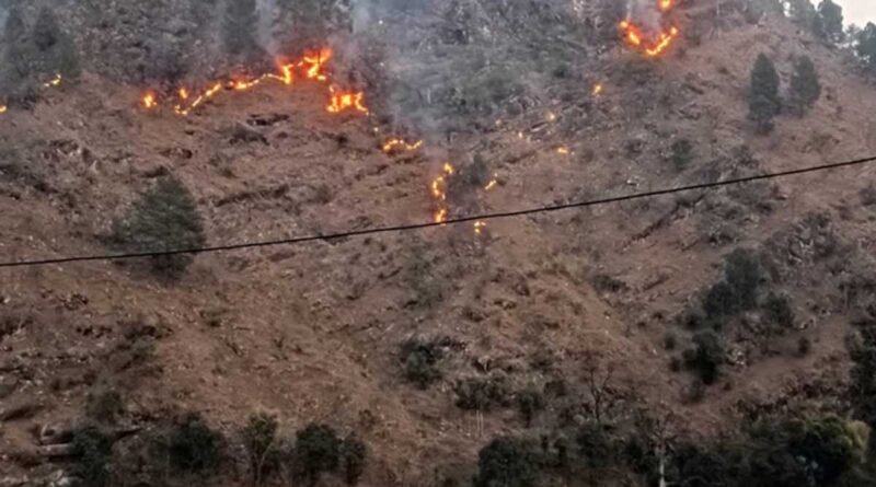 चमोली के जंगलों में भड़की आग, कई क्षेत्रों में धधकते रहे वन