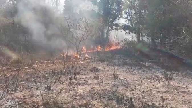 उत्तराखंड में रिकॉर्ड तोड़ वनाग्नि, वायु गुणवत्ता बिगड़ी; ब्लैक कार्बन से बढ़ी गर्मी