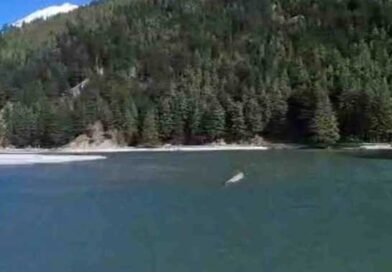 हर्षिल में भागीरथी नदी की झील बनी खतरा, बढ़ सकता है आपदा का जोखिम