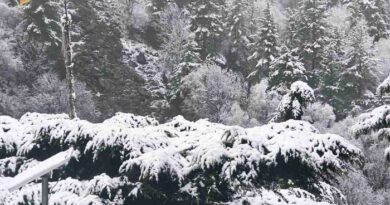 केदारनाथ-यमुनोत्री में बर्फबारी, बदरीनाथ से औली तक बिछी सफेद चादर, बढ़ी ठंड