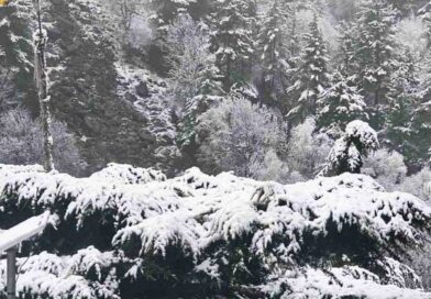 केदारनाथ-यमुनोत्री में बर्फबारी, बदरीनाथ से औली तक बिछी सफेद चादर, बढ़ी ठंड केदारनाथ-यमुनोत्री में बर्फबारी, बदरीनाथ से औली तक बिछी सफेद चादर, बढ़ी ठंड