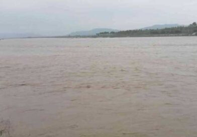 गंग नहर में बढ़ता प्रदूषण जलीय जीवों के लिए बना खतरा