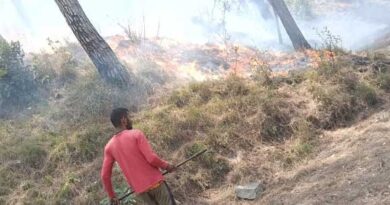 देवप्रयाग और कीर्तिनगर के जंगलों में भड़की भीषण आग, कई गांव प्रभावित
