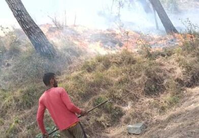 देवप्रयाग और कीर्तिनगर के जंगलों में भड़की भीषण आग, कई गांव प्रभावित