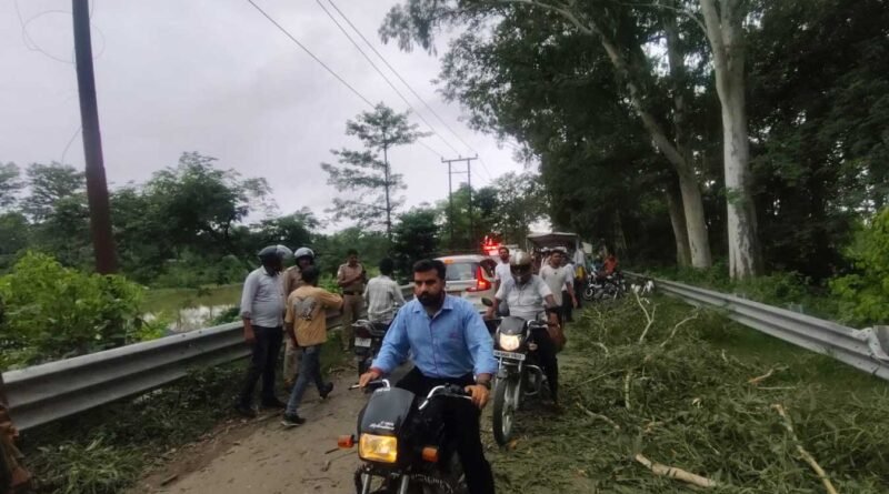 हरिद्वार: कलियर–धनौरी मार्ग पर बड़ा हादसा, चलती बाइक पर गिरा पेड़ का विशाल टहना, दो युवक गंभीर घायल हरिद्वार: कलियर–धनौरी मार्ग पर बड़ा हादसा, चलती बाइक पर गिरा पेड़ का विशाल टहना, दो युवक गंभीर घायल